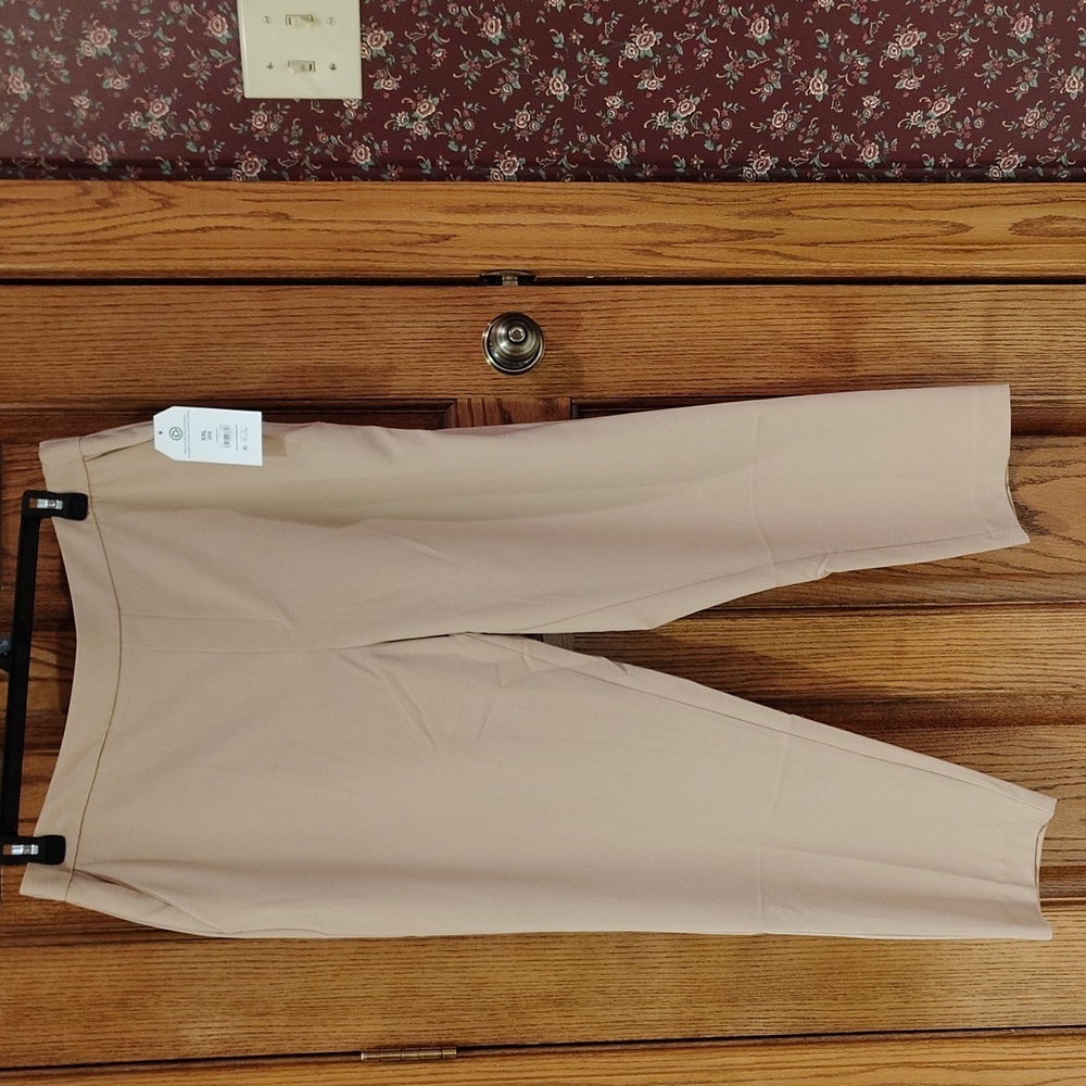 Versatile Beige Time & Tru Tapered Pants NWT XXL (20)
